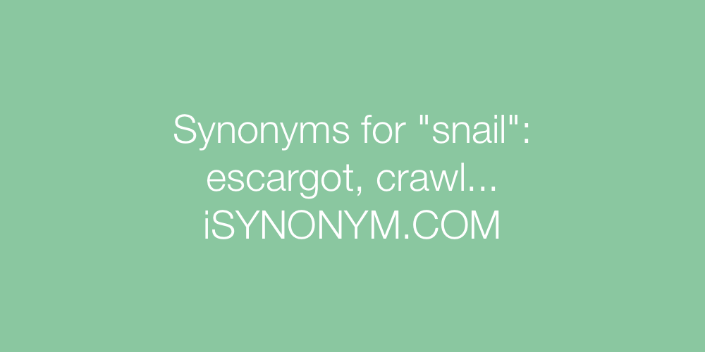 Synonyms snail