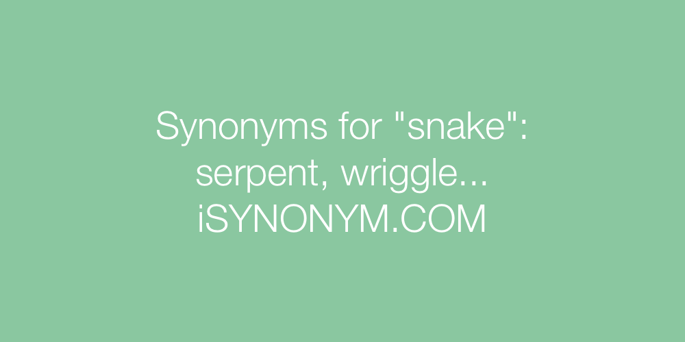 Synonyms snake