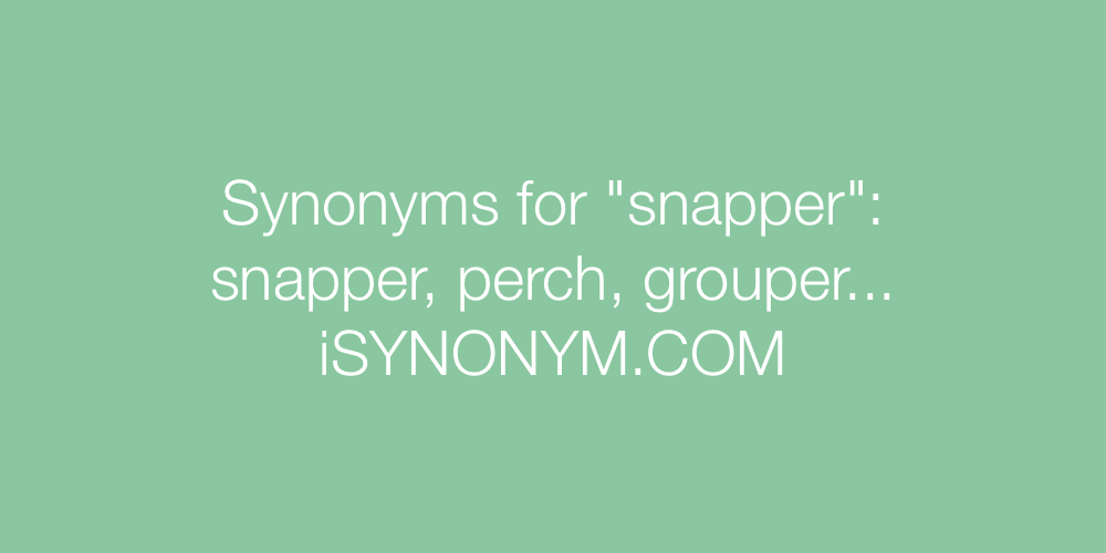 Synonyms snapper