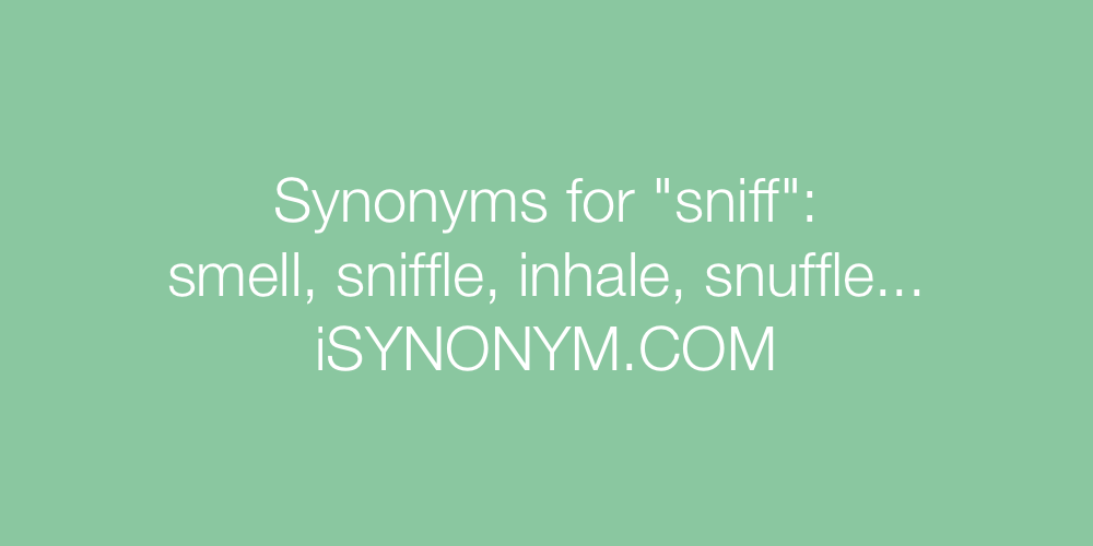 Synonyms sniff