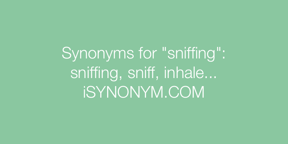 Synonyms sniffing