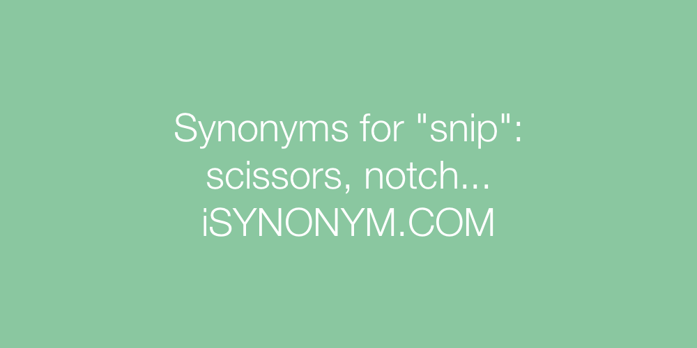 Synonyms snip