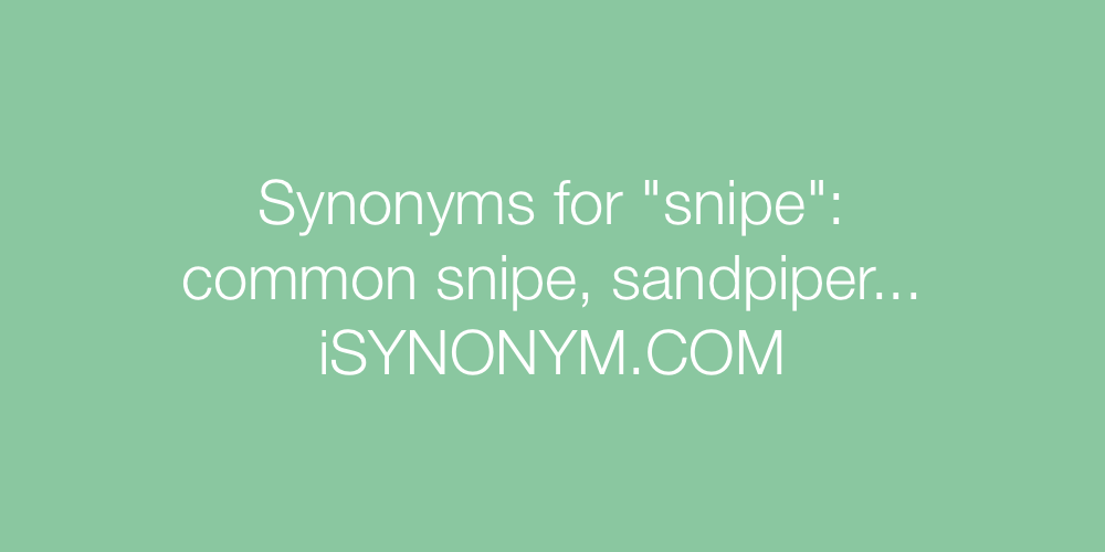 Synonyms snipe