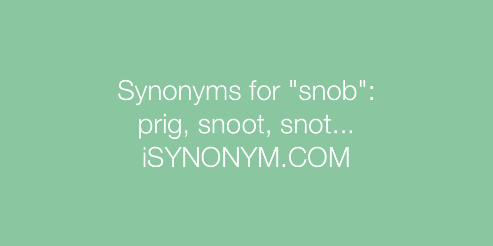 Synonyms snob