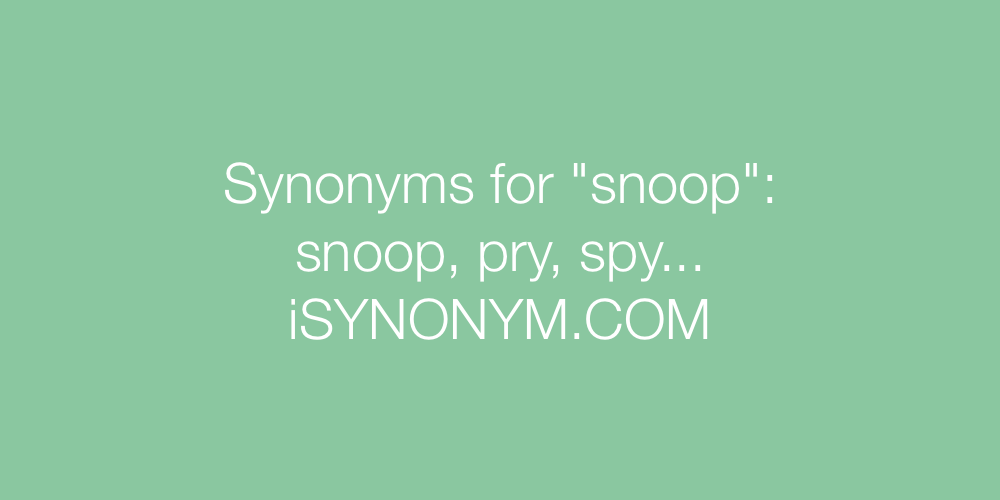 Synonyms snoop