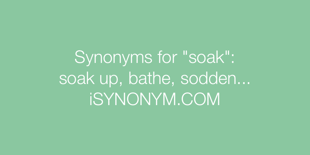 Synonyms soak