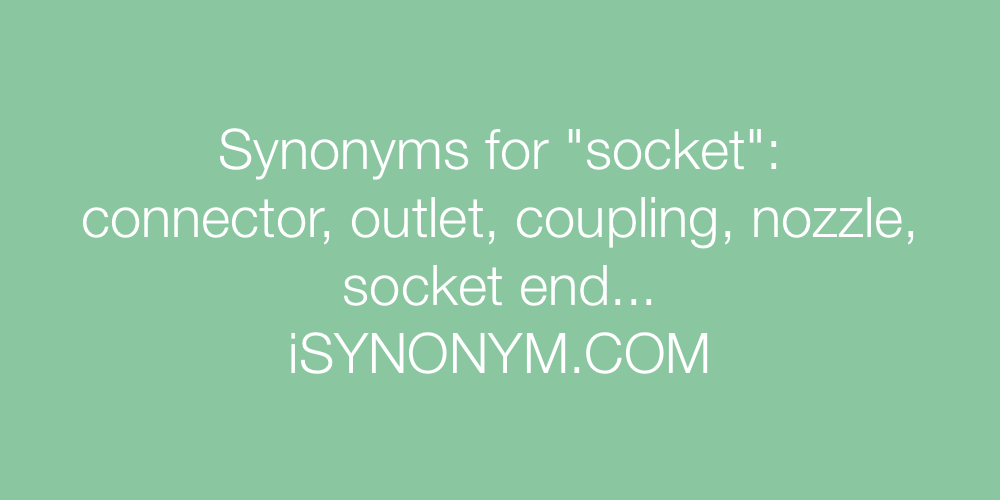 Synonyms socket