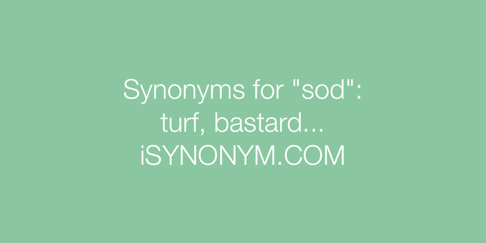 Synonyms sod