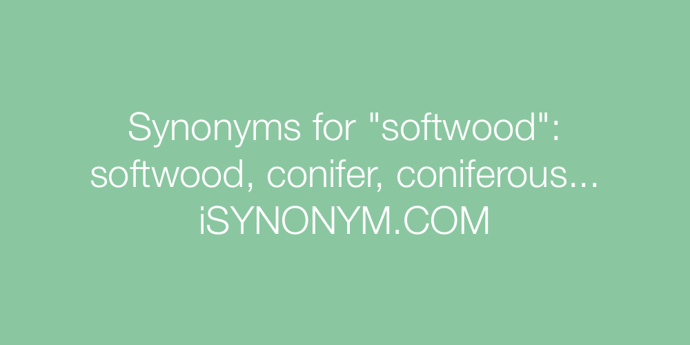 Synonyms softwood