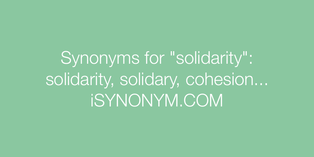 Synonyms solidarity