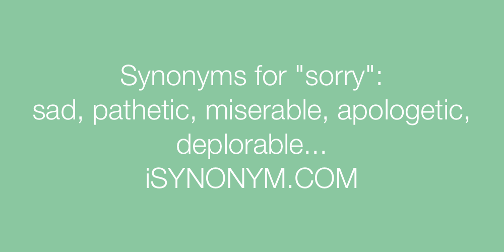 Synonyms sorry