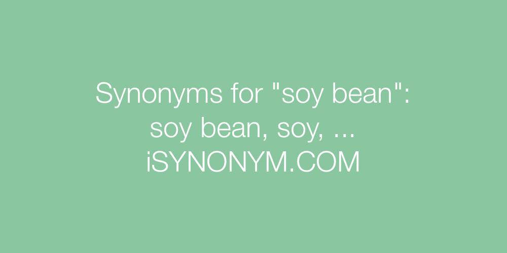 Synonyms soy bean