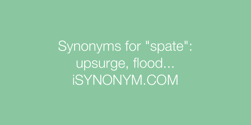 Synonyms spate