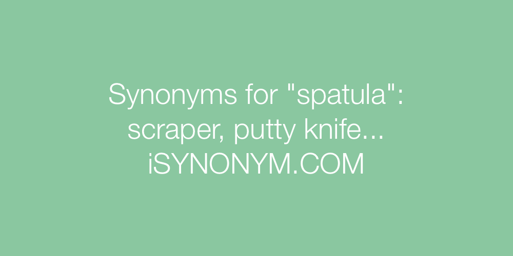Synonyms spatula