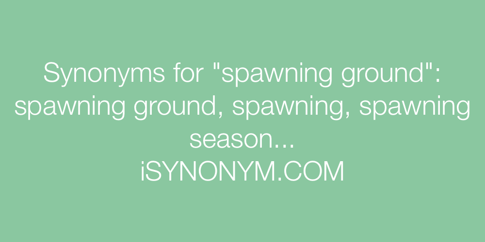 Synonyms spawning ground