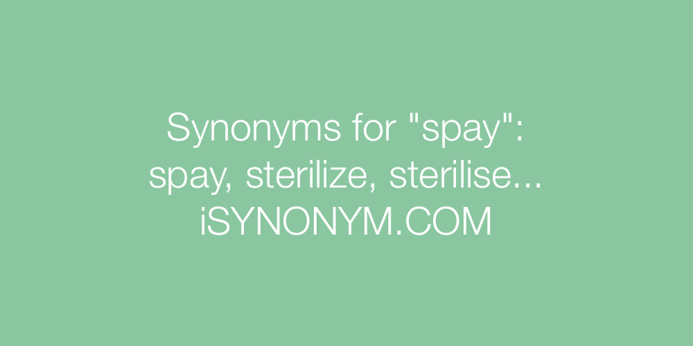 Synonyms spay