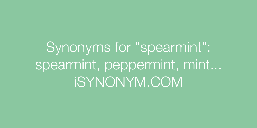 Synonyms spearmint
