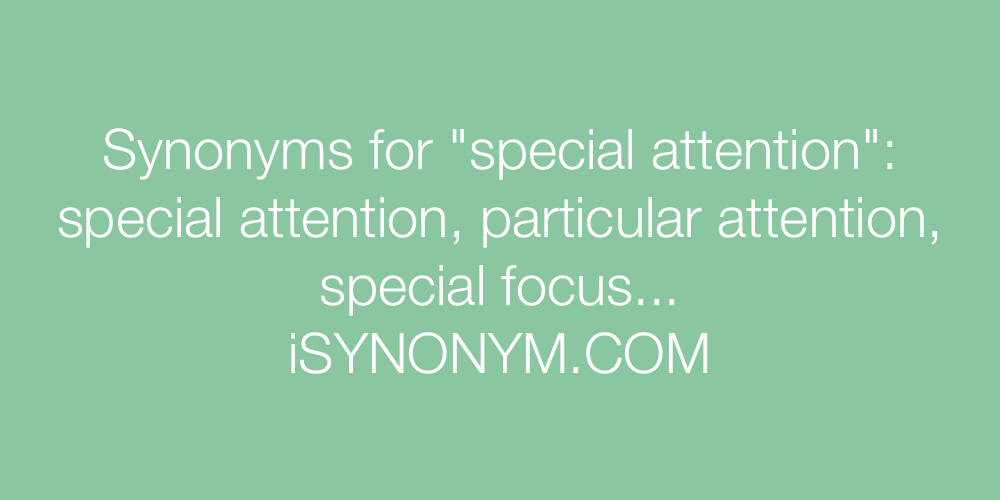 Synonyms special attention