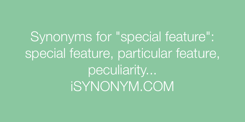 Synonyms special feature