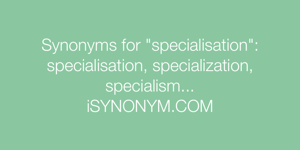 Synonyms specialisation