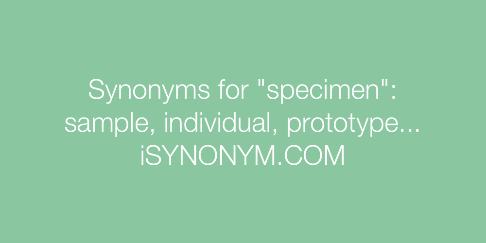 Synonyms specimen
