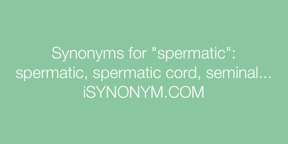 Synonyms spermatic