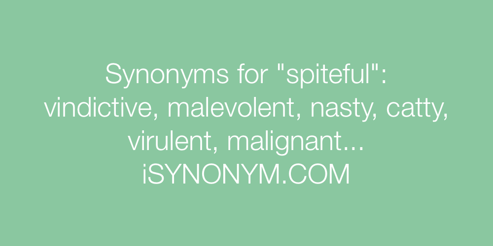 Synonyms spiteful