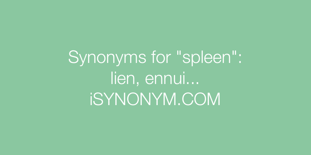 Synonyms spleen