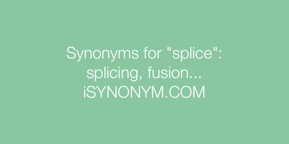 Synonyms splice