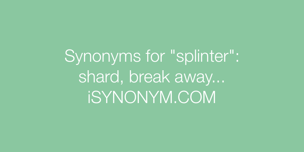 Synonyms splinter