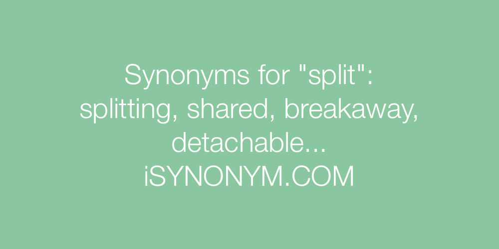 Synonyms split