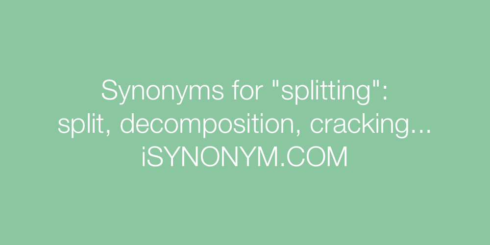 Synonyms splitting