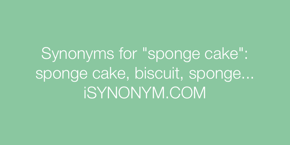 Synonyms sponge cake