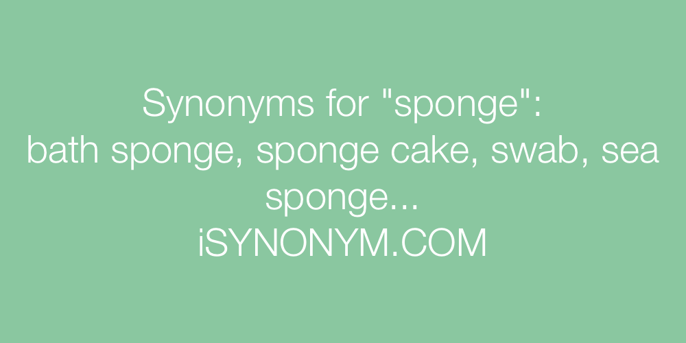 Synonyms sponge
