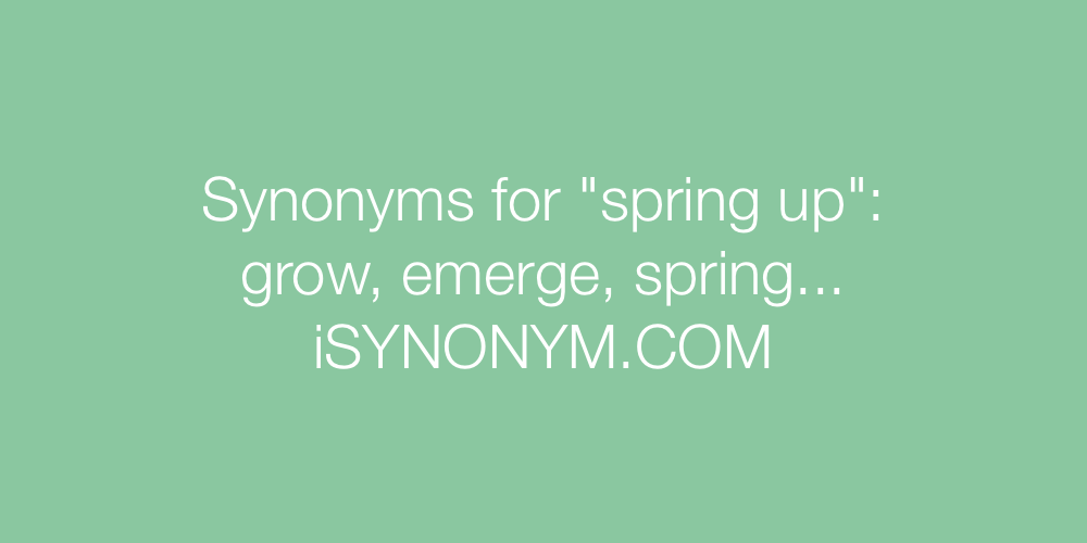 Synonyms spring up