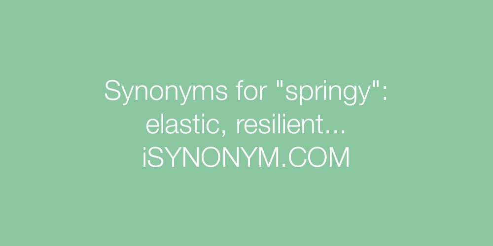 Synonyms springy
