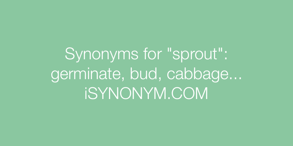 Synonyms sprout