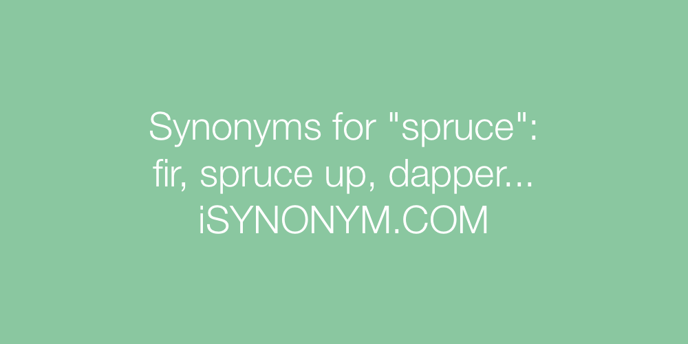 Synonyms spruce