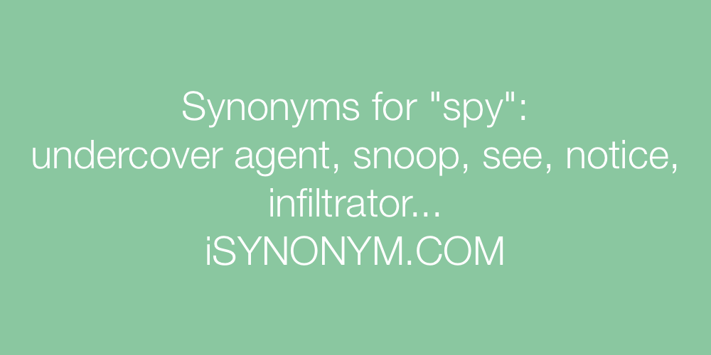 Synonyms spy