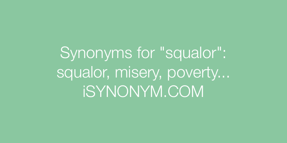 Synonyms squalor