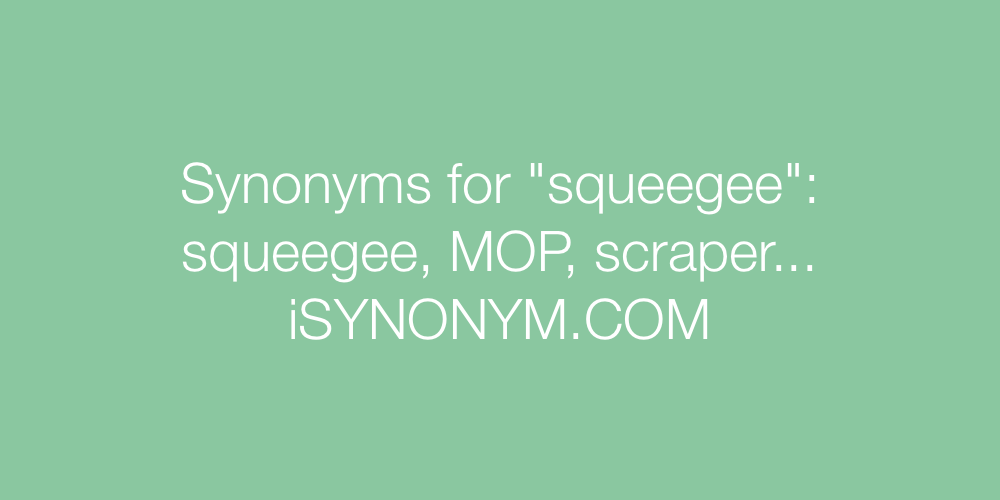 Synonyms squeegee