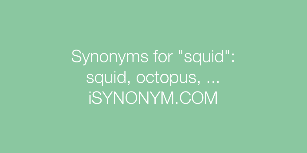 Synonyms squid