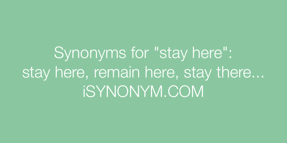 Synonyms stay here