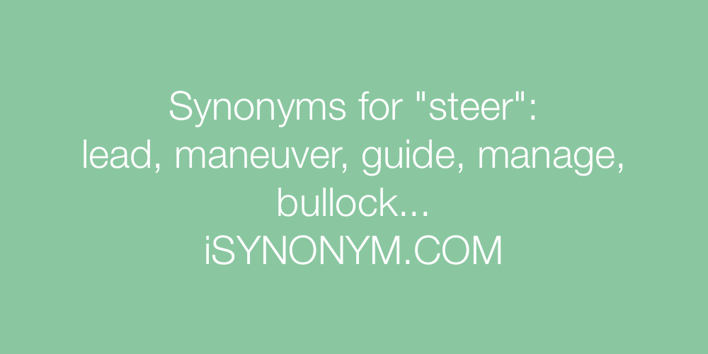 Synonyms steer