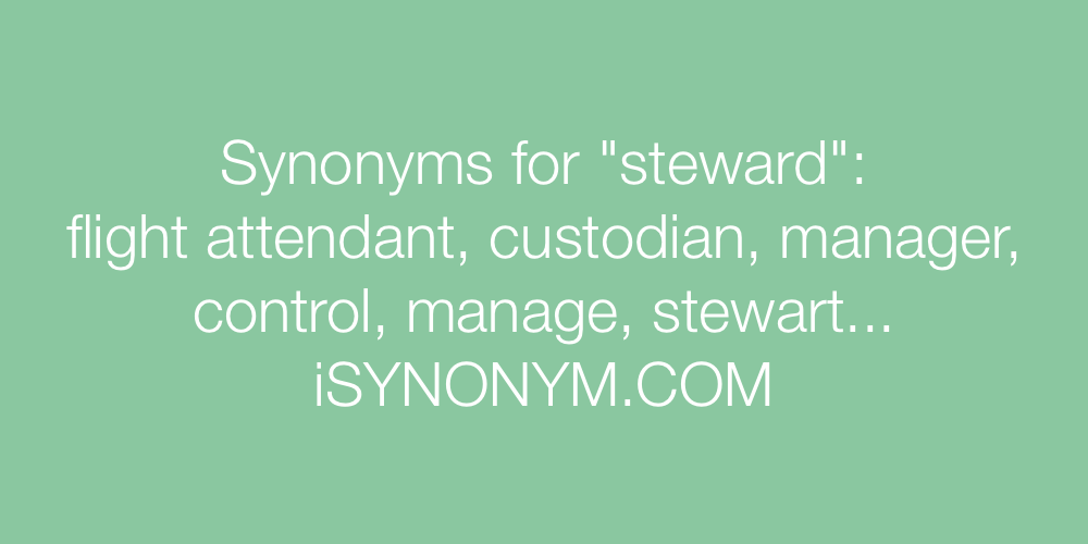 Synonyms steward