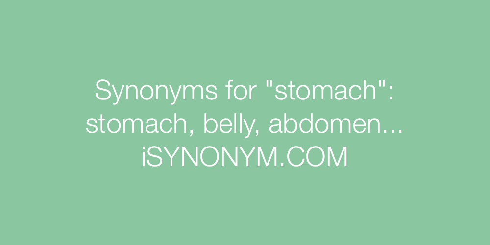 Synonyms stomach