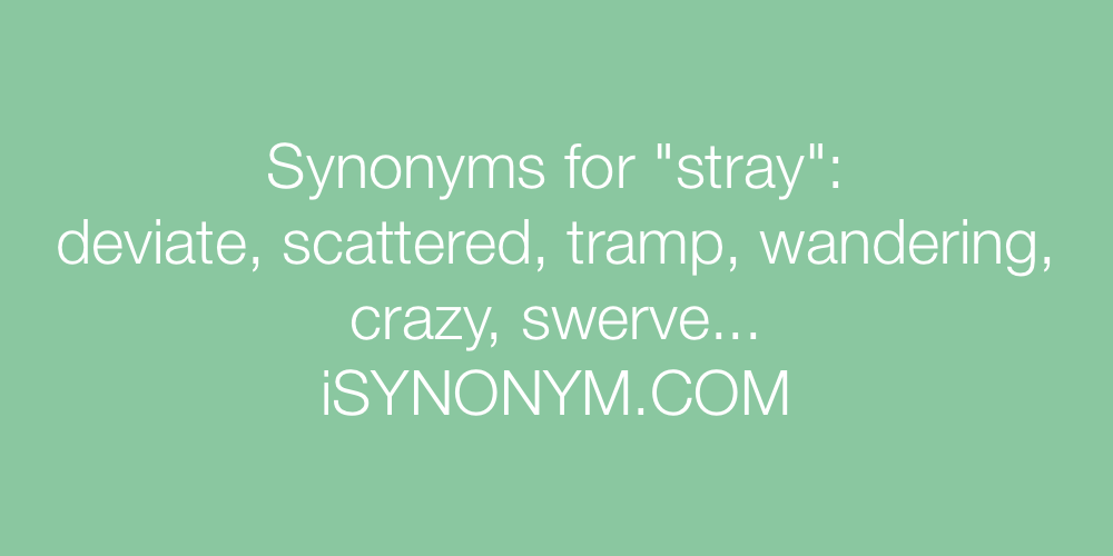 Synonyms stray