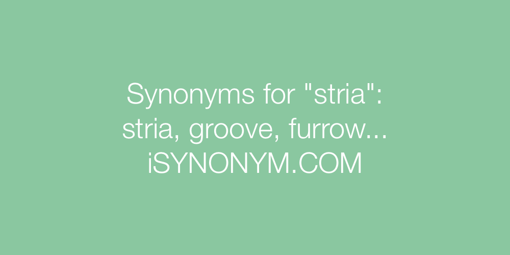 Synonyms stria