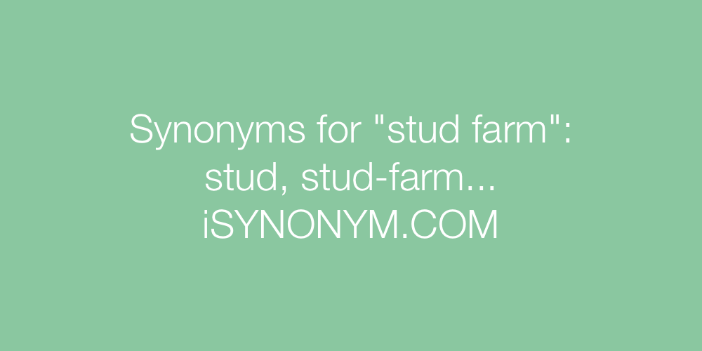 Synonyms stud farm