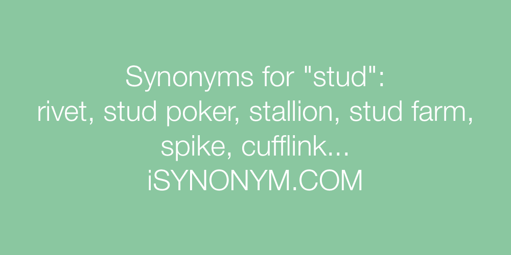 Synonyms stud
